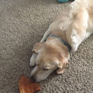 Meet your Posher, Morgan